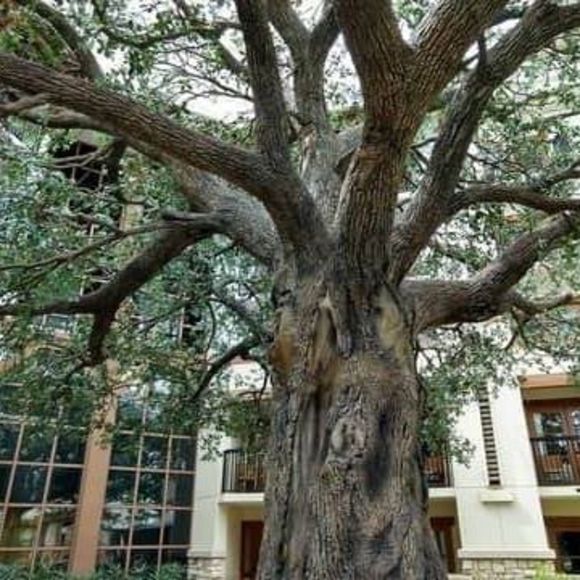 Meet your Posher, Daryl - Picture 1 of 1